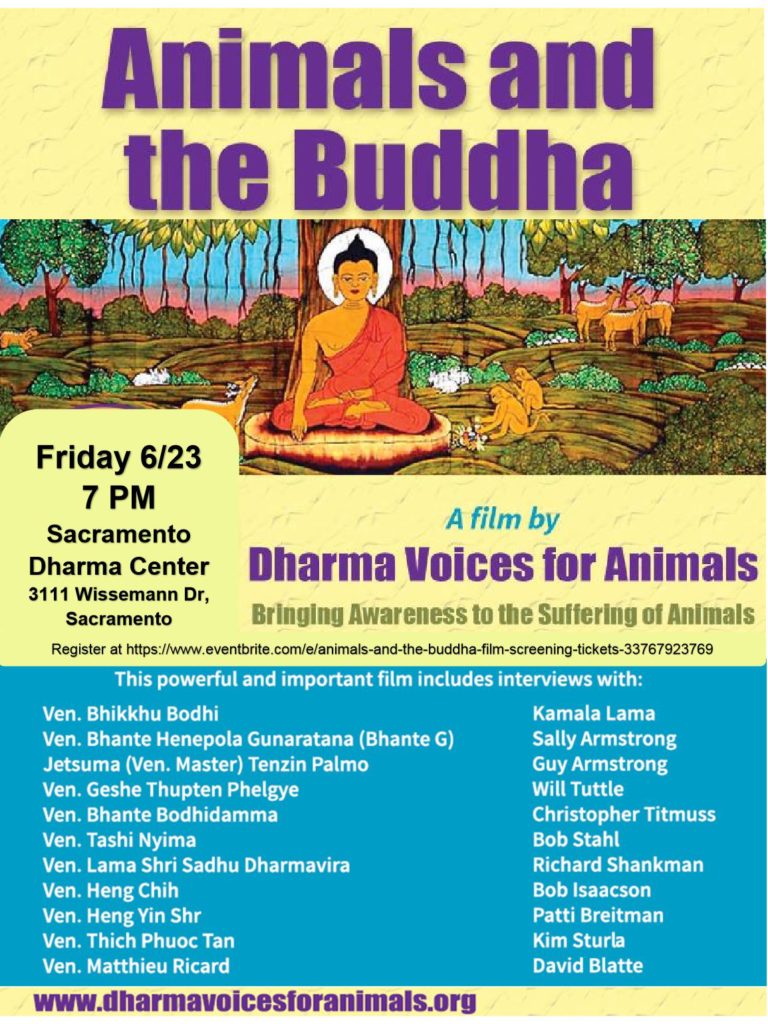 Animals and the Buddha - Film Screening