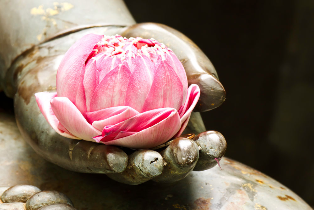 Buddha statue holding a lotus blossom with a few coins underneath.